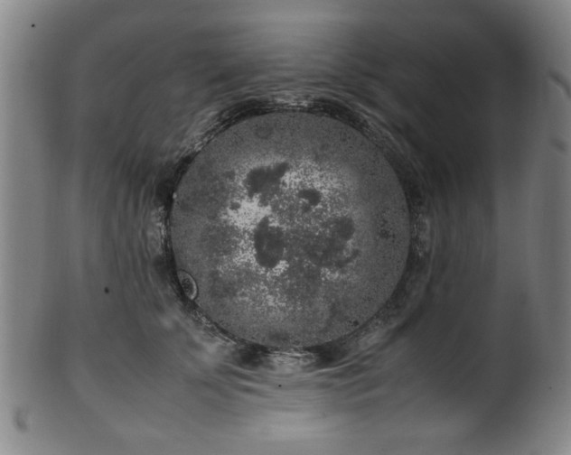 X0000100350707200806061114