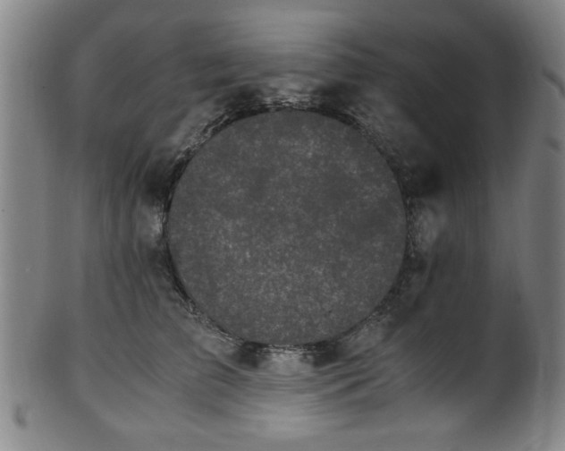 X0000100350709200806061114