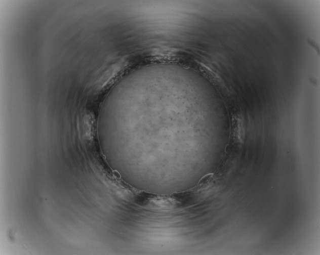 X0000100350712200806061114