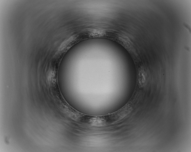 X0000100350714200806061114