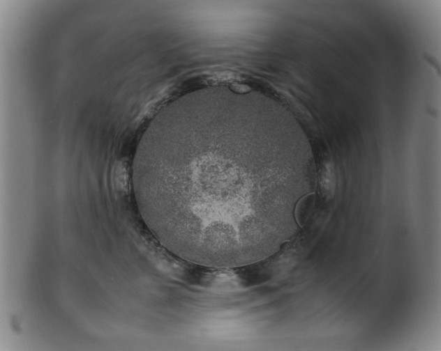 X0000100350715200806061114