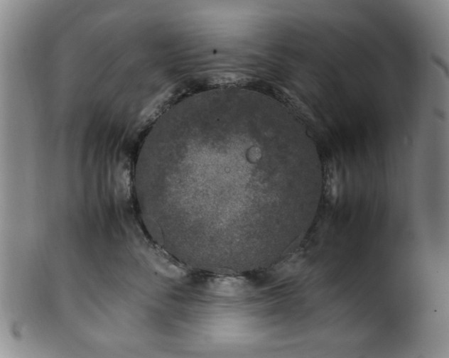 X0000100350716200806061114