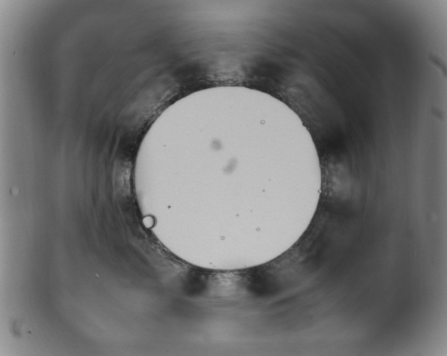 X0000100350717200806061114