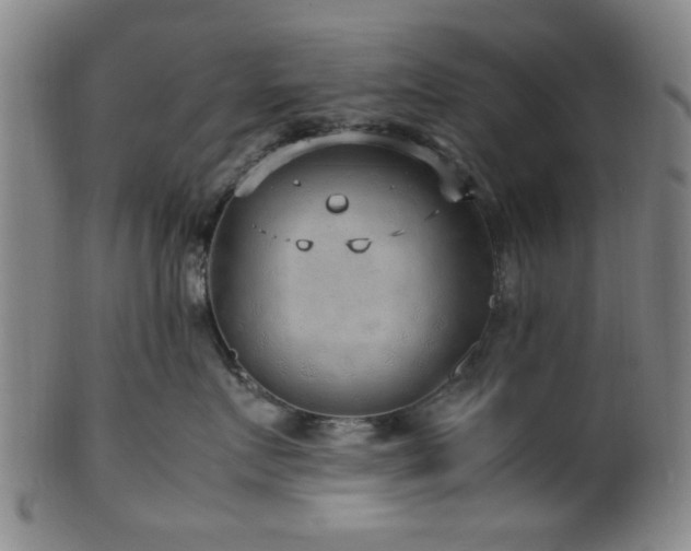 X0000100350719200806061114