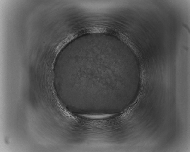 X0000100350721200806061113