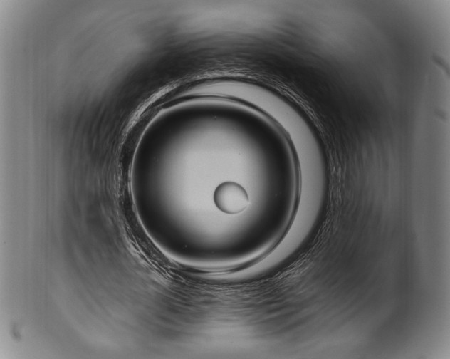 X0000100350724200806061113