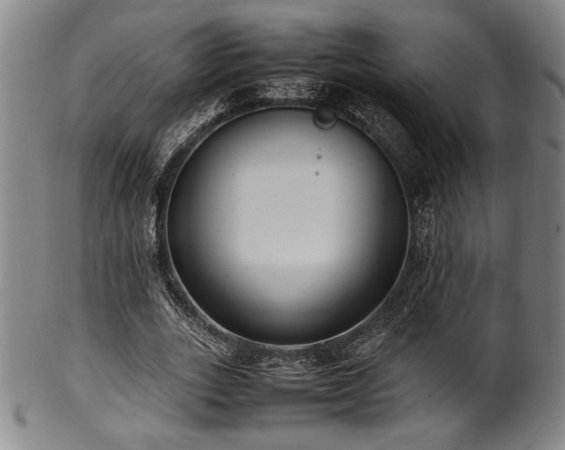 X0000100350727200806061113