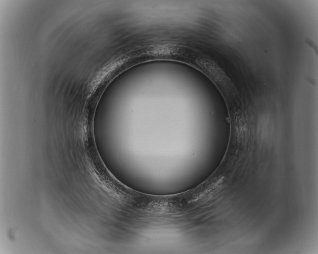 X0000100350728200806061113