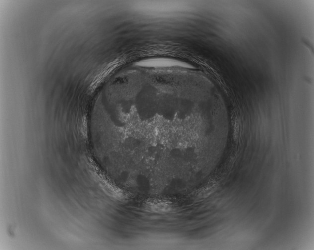X0000100350729200806061113