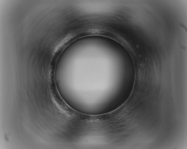 X0000100350730200806061113