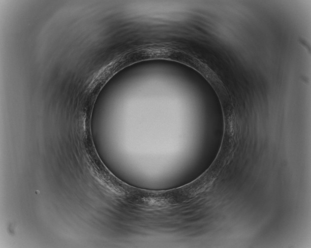 X0000100350733200806061113