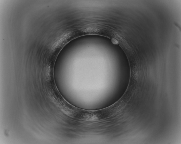 X0000100350735200806061114