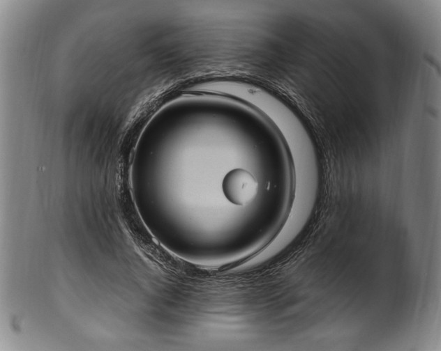 X0000100350736200806061114