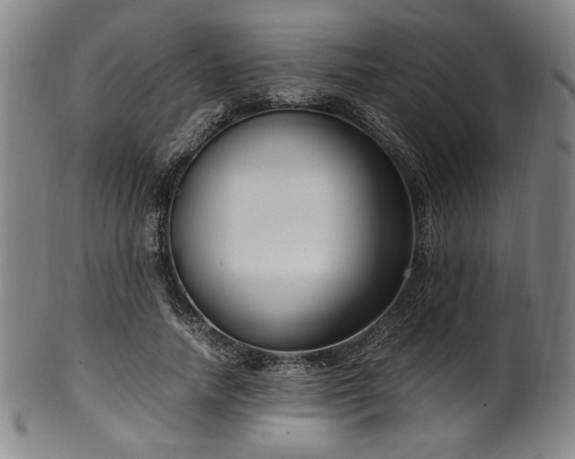 X0000100350738200806061114