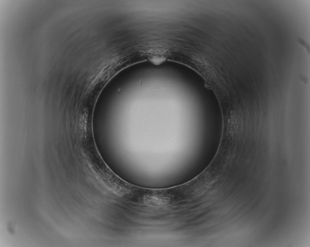 X0000100350739200806061114