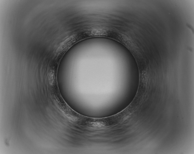 X0000100350741200806061114