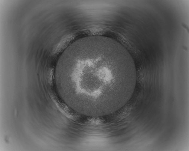 X0000100350742200806061114