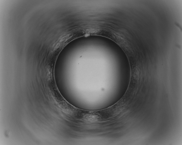 X0000100350743200806061114