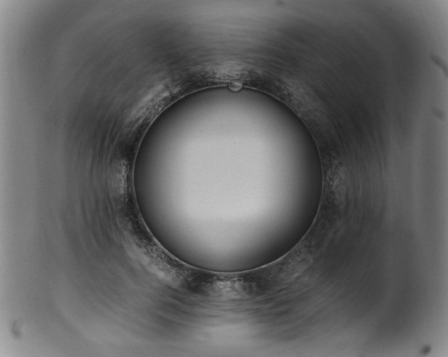 X0000100350744200806061114