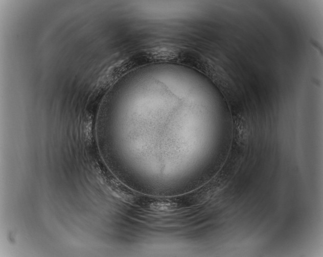 X0000100350745200806061114