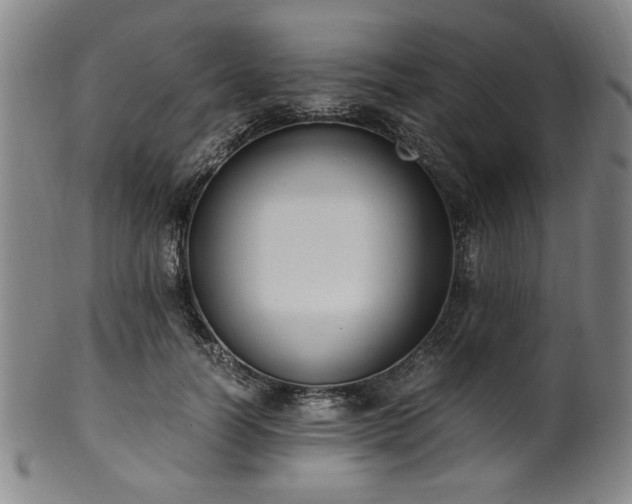 X0000100350746200806061114