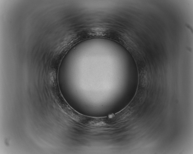 X0000100350747200806061114