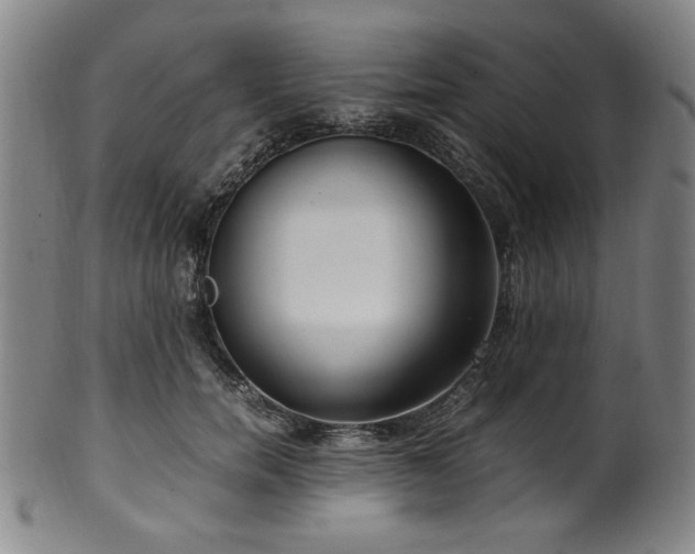 X0000100350750200806061114