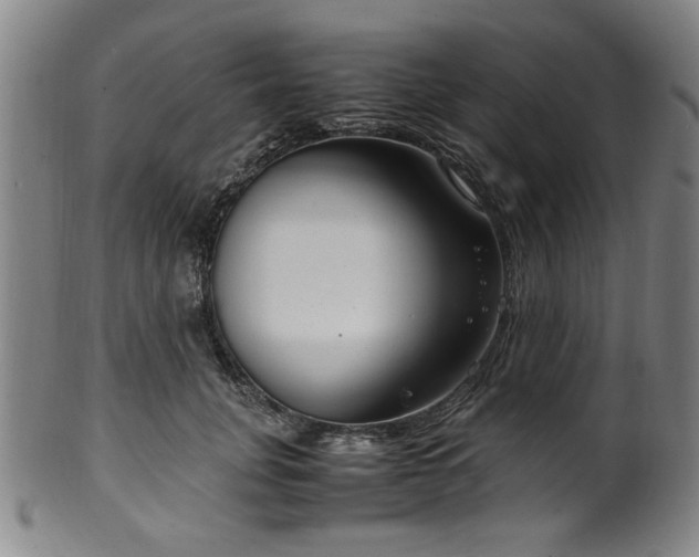 X0000100350751200806061114