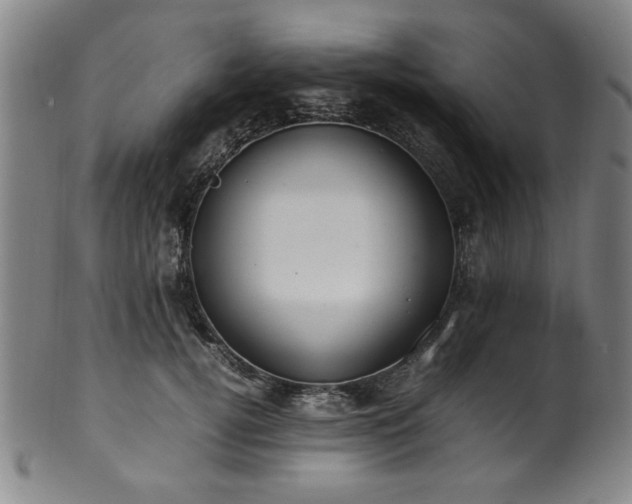 X0000100350752200806061114