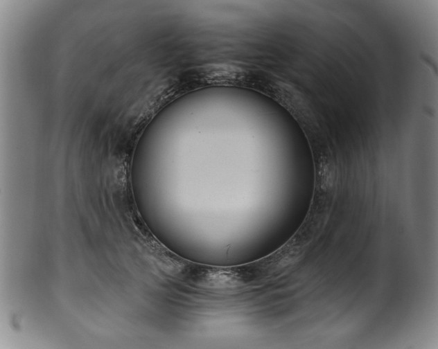 X0000100350753200806061114