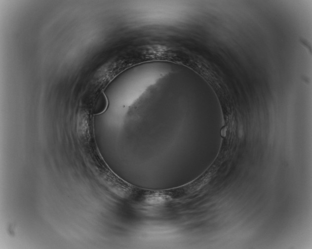 X0000100350754200806061114