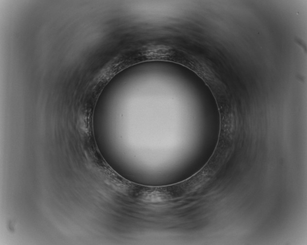 X0000100350755200806061114