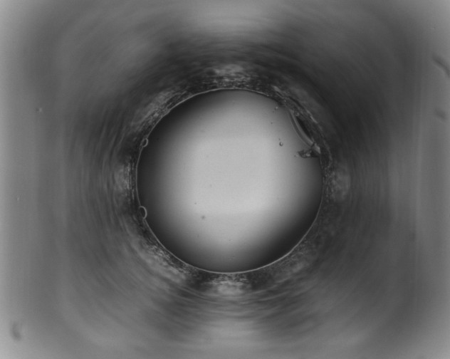X0000100350756200806061114