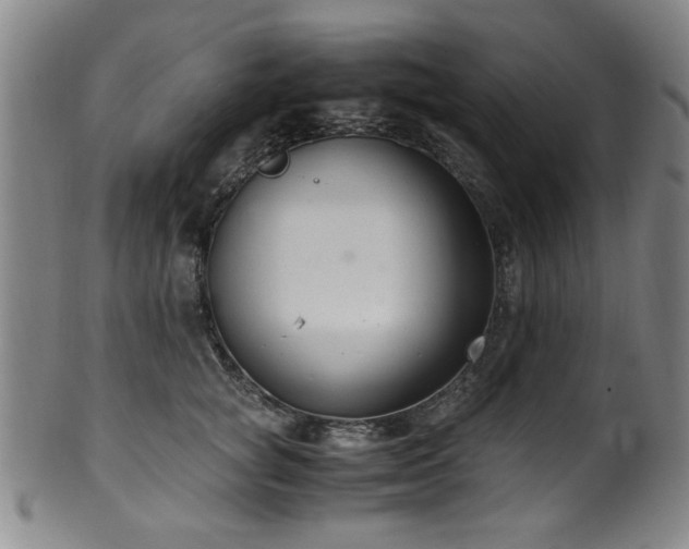X0000100350757200806061114