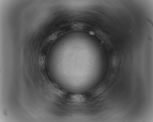 X0000100350759200806061114