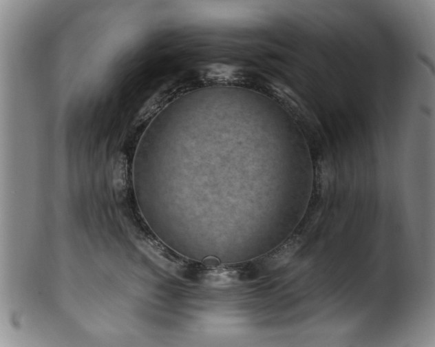 X0000100350760200806061114