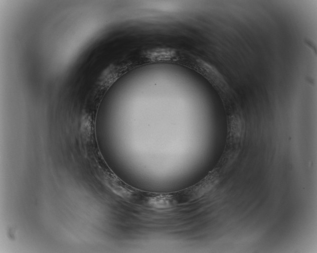 X0000100350761200806061114