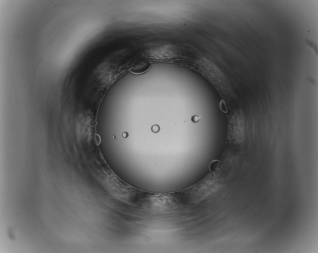 X0000100350762200806061114