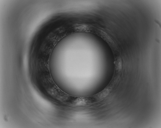 X0000100350764200806061114