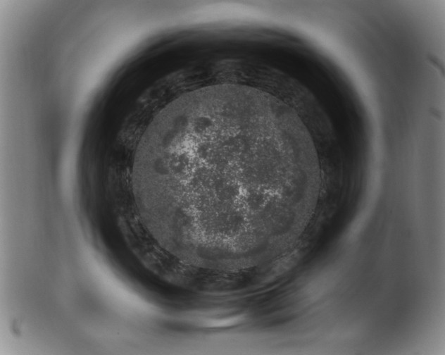 X0000100350765200806061114