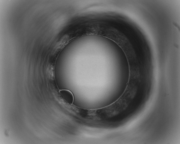 X0000100350766200806061114