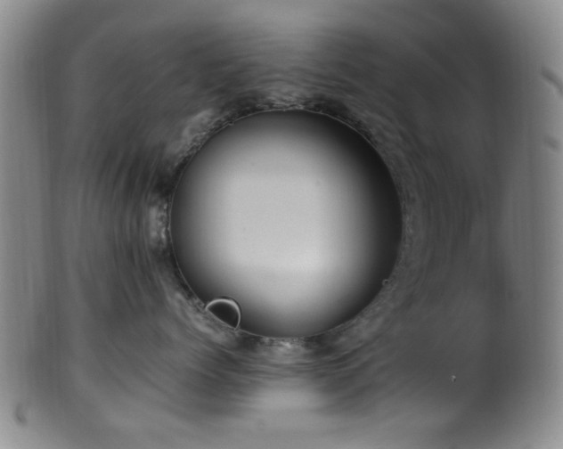 X0000100350768200806061114