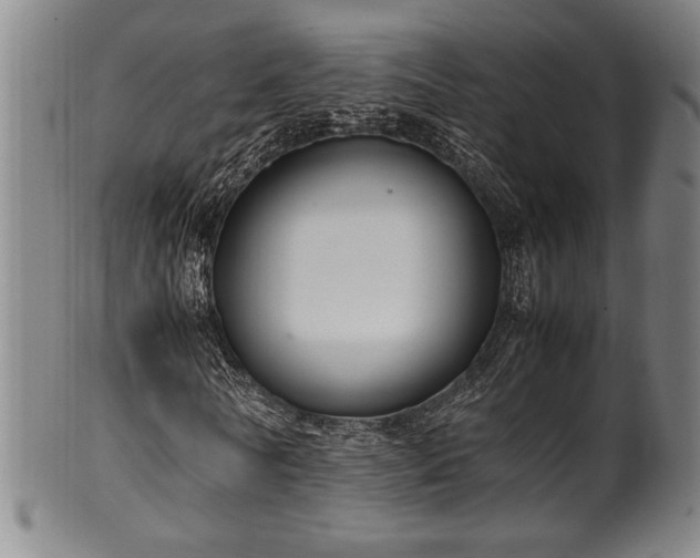 X0000100350770200806061113