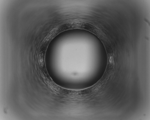 X0000100350771200806061113