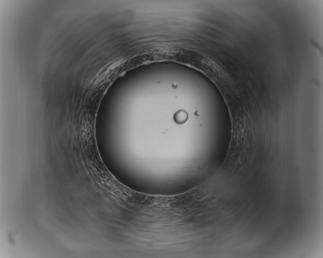 X0000100350773200806061113