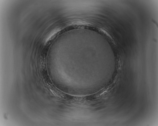 X0000100350775200806061113