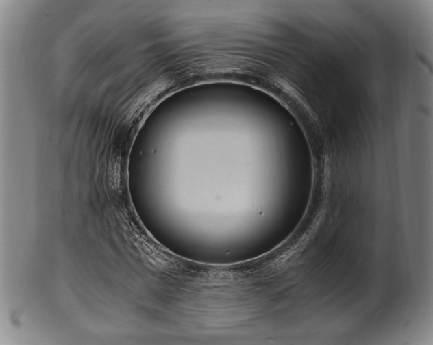 X0000100350777200806061113