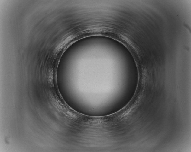 X0000100350778200806061113