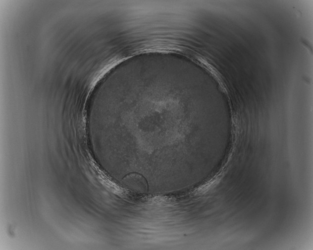 X0000100350779200806061113