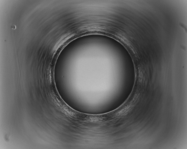 X0000100350782200806061113